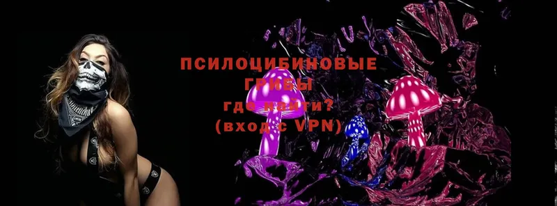 Псилоцибиновые грибы Magic Shrooms  Ковдор 